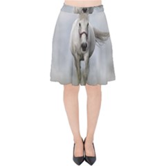 Horse Mammal White Horse Animal Velvet High Waist Skirt by Celenk