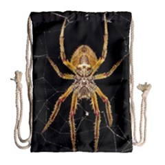 Nsect Macro Spider Colombia Drawstring Bag (large) by Celenk