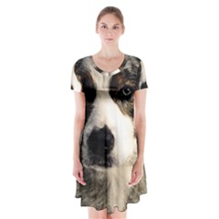 Dog Pet Art Abstract Vintage Short Sleeve V-neck Flare Dress by Celenk