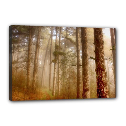 Forest Trees Wood Branc Canvas 18  X 12  by Celenk