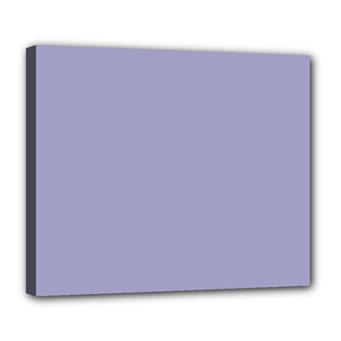 Grey Violet Deluxe Canvas 24  X 20   by snowwhitegirl