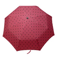 Watermelon Minimal Pattern Folding Umbrellas by jumpercat