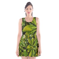 Top View Leaves Scoop Neck Skater Dress by dflcprints