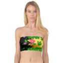 Earth day Bandeau Top View1