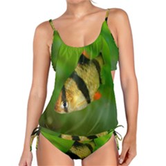 Tiger Barb Tankini Set by trendistuff