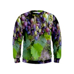 Grapes 2 Kids  Sweatshirt by trendistuff