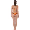 PUMPKINS 1 Perfectly Cut Out Bikini Set View2