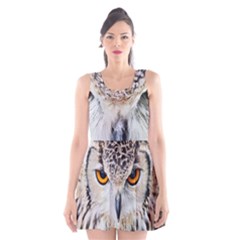 Owl Face Scoop Neck Skater Dress by Sapixe