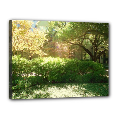 Highland Park 19 Canvas 16  X 12  by bestdesignintheworld