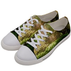 Highland Park 19 Women s Low Top Canvas Sneakers by bestdesignintheworld