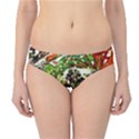 April   Birds Of Paradise 5 Hipster Bikini Bottoms View1