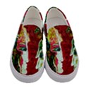 Dscf1676 - roxana and alexander Women s Canvas Slip Ons View1