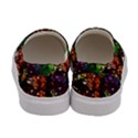 Gatchina Park 4 Women s Canvas Slip Ons View4