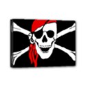 Pirate Skull Mini Canvas 7  x 5  View1