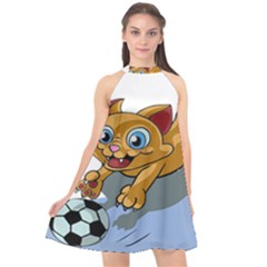 Cat Ball Play Funny Game Playing Halter Neckline Chiffon Dress  by Nexatart