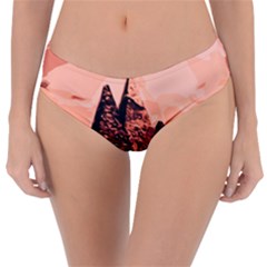 Pyramid Egypt Monumental Reversible Classic Bikini Bottoms by Sapixe