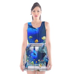 Dolphin Art Creation Natural Water Scoop Neck Skater Dress by Sapixe