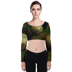 Tiktok s Four-dimensional Steampunk Time Contraption Velvet Crop Top by jayaprime