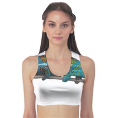 Reptile Lizard Animal Isolated Sports Bra by Sapixe