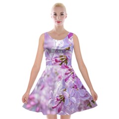 Pink Lilac Flowers Velvet Skater Dress by FunnyCow