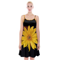 Sun Flower Blossom Bloom Particles Spaghetti Strap Velvet Dress by Nexatart