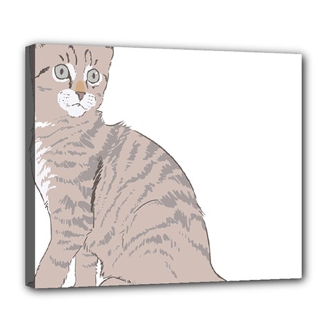 Kitten Cat Drawing Line Art Line Deluxe Canvas 24  X 20   by Sapixe