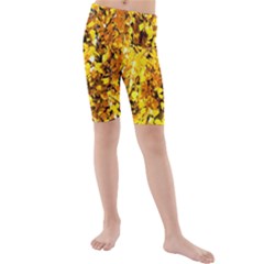 Birch Tree Yellow Leaves Kids  Mid Length Swim Shorts by FunnyCow