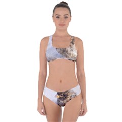 Funny Wet Sparrow Bird Criss Cross Bikini Set by FunnyCow