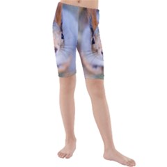 Squirrel Looks At You Kids  Mid Length Swim Shorts by FunnyCow