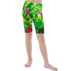 Bleeding Heart Flowers In Spring Kids  Mid Length Swim Shorts by FunnyCow