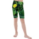 Yellow Dandelion Flowers In Spring Kids  Mid Length Swim Shorts View1