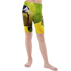 Tomtit Bird Dressed To The Season Kids  Mid Length Swim Shorts by FunnyCow