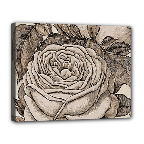 Flowers 1776630 1920 Canvas 14  X 11  (stretched) by vintage2030