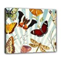 Butterfly 1064147 960 720 Deluxe Canvas 24  x 20  (Stretched) View1