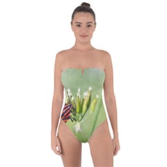 One More Bottle Does Not Hurt Tie Back One Piece Swimsuit by FunnyCow