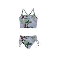 Lunar Moths Girls  Tankini Swimsuit by lwdstudio