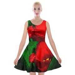 Red Tulip After The Shower Velvet Skater Dress by FunnyCow