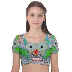 Cosmic Owl Velvet Short Sleeve Crop Top  by chellerayartisans