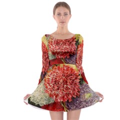 Flowers 1776541 1920 Long Sleeve Skater Dress by vintage2030