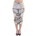 Globe 1618193 1280 Velvet Midi Pencil Skirt View1