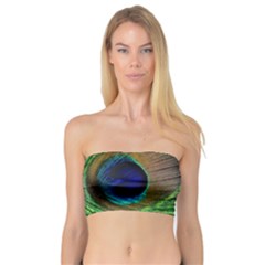 Peacock Feather Macro Peacock Bird Bandeau Top by Simbadda