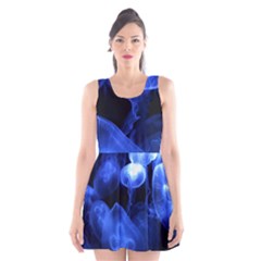 Jellyfish Sea Diving Sea Animal Scoop Neck Skater Dress by Sapixe