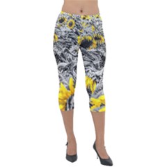 Sunflower Field Girasol Sunflower Lightweight Velour Capri Leggings  by Sapixe