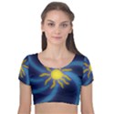 Sun Glow Velvet Short Sleeve Crop Top  View1