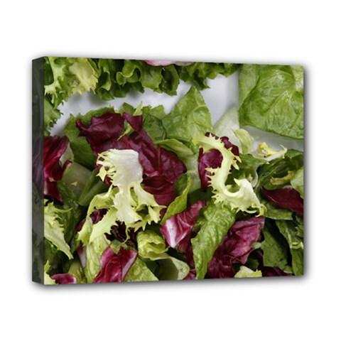 Salad Lettuce Vegetable Canvas 10  X 8  (stretched) by Sapixe