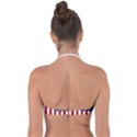 US Flag Stars and Stripes MAGA Halter Bandeau Bikini Top View2