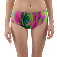 Lime Green And Pink Succulent Sedum Rosette Reversible Mid-waist Bikini Bottoms by myrubiogarden