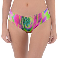 Lime Green And Pink Succulent Sedum Rosette Reversible Classic Bikini Bottoms by myrubiogarden