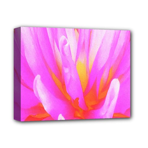 Fiery Hot Pink And Yellow Cactus Dahlia Flower Deluxe Canvas 14  X 11  (stretched) by myrubiogarden