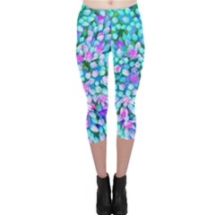 Blue And Hot Pink Succulent Sedum Flowers Detail Capri Leggings  by myrubiogarden